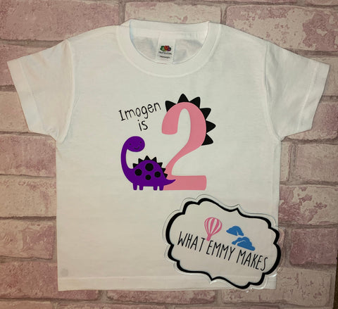 Ages 1-6 Dinosaur Birthday Top - Pink/Purple