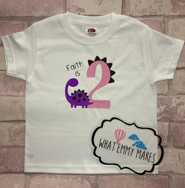 Ages 1-6 Dinosaur Birthday Top - Pink/Purple
